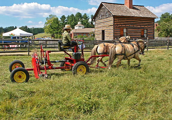 Horse drawn mowing systems are used for maintenance measures in nature protection areas, mowing pastures on organic farms etc.