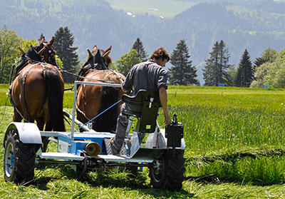 Horse drawn mowing systems used in the context of environmental and natural management of meadows and pastures