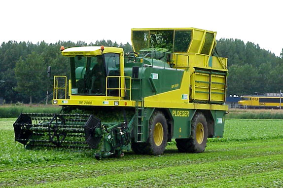 when harvesting spinach, specially designed spinach mowers are used