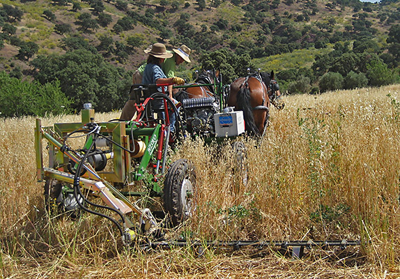 farms that value natural farming use I&J / Jake Blank's horse-drawn mowing systems