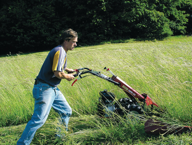 auch hohes Gras wird von den Fingerbalken mühelos geschnitten