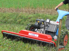 mulching improves the nutrient supply in the soil because it is a natural fertilizer