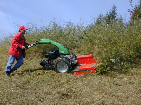 der ESM Vertikalschlegler durchmäht mühelos auch große und sehr dicht bewachsene Flächen