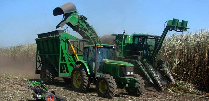 ein Mähdrescher und ein Traktor mit Anhänger fahren übers Feld