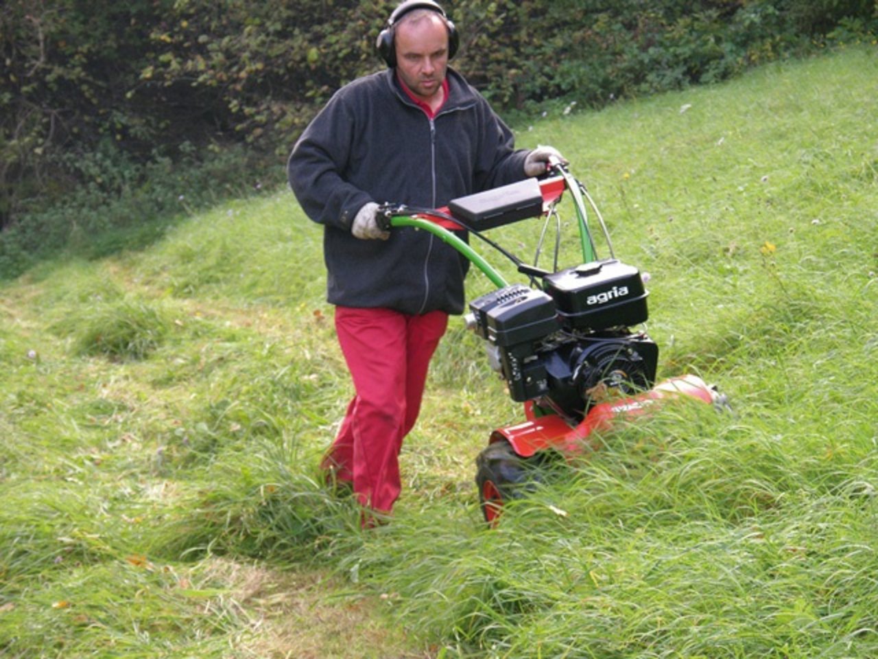 ein Mann mäht den Rasen