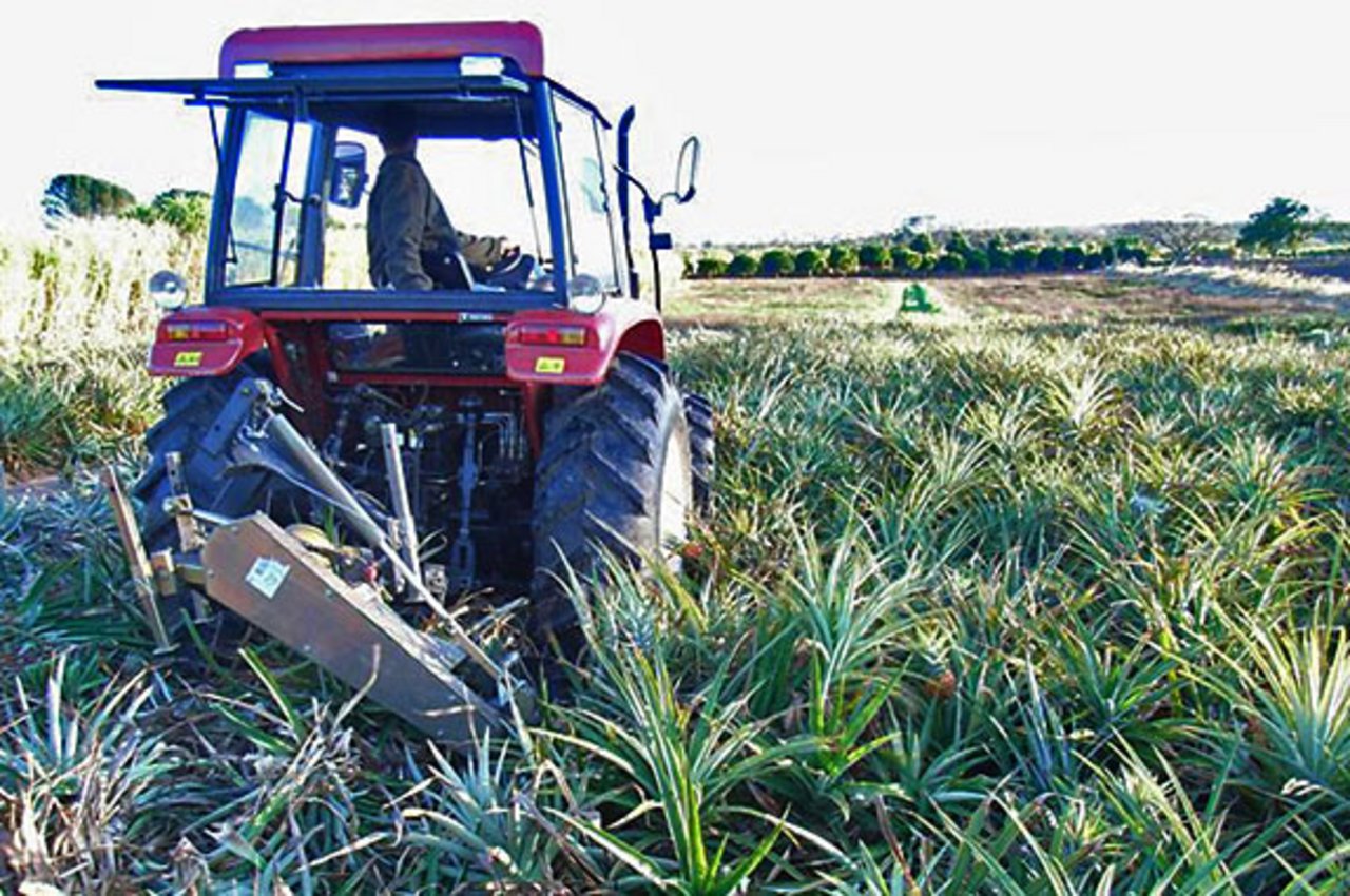 Traktor auf einem Feld