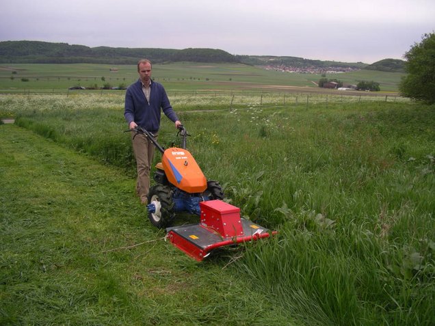 [Translate to English:] unter Extensivpflege versteht man in Landwirtschaft und Grünanlagenpflege eine spezielle Art der Flächennutzung und Behandlung