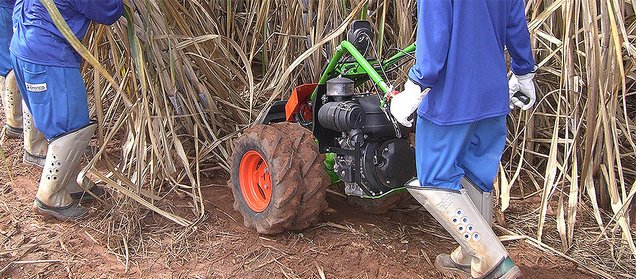 [Translate to English:] ESM CaneThumper® Technology
